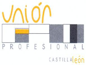 uniones profesionales en Castilla y León