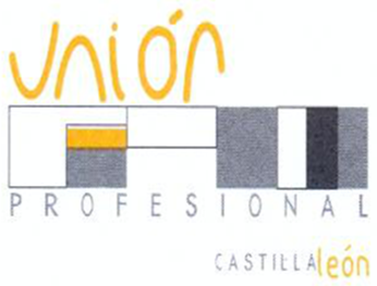 UNIÓN PROFESIONAL CASTILLA Y LEÓN